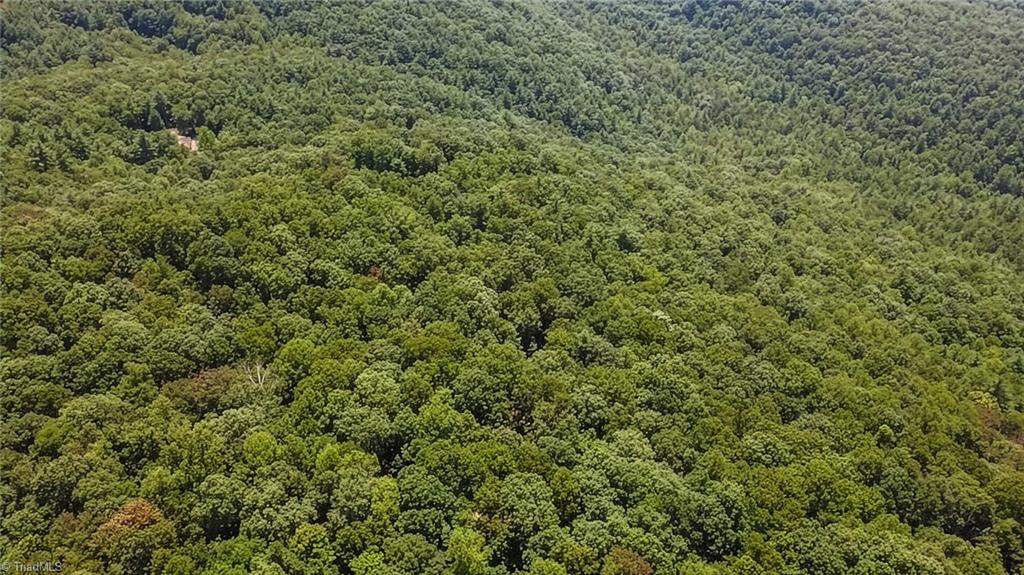 Tbd Timber Ridge Road Property Photo 18