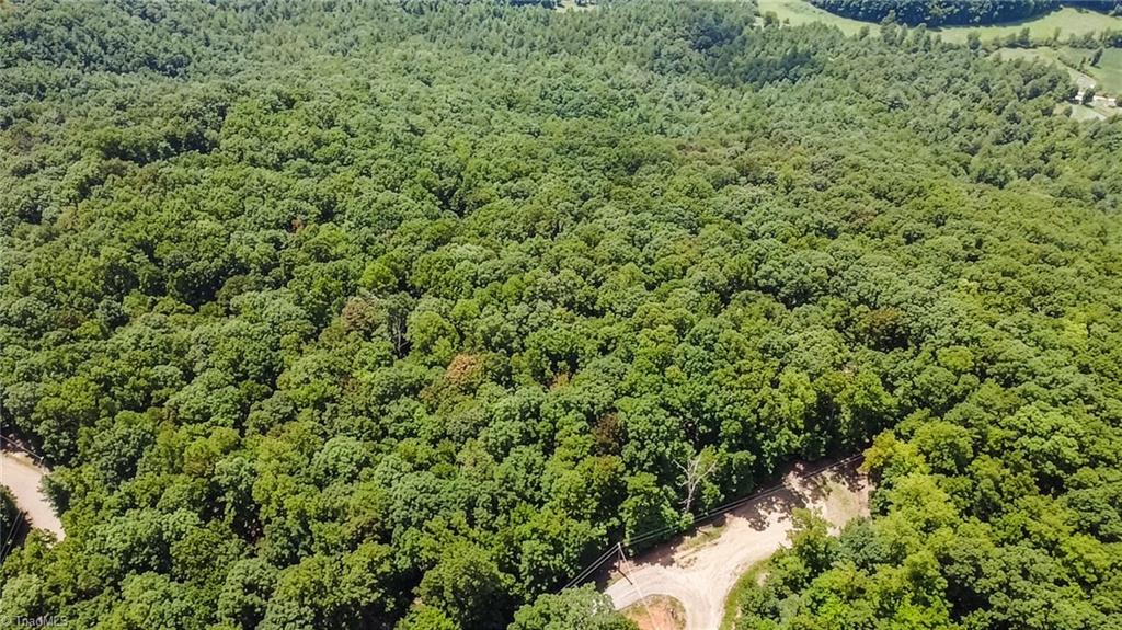 Tbd Timber Ridge Road Property Photo 19