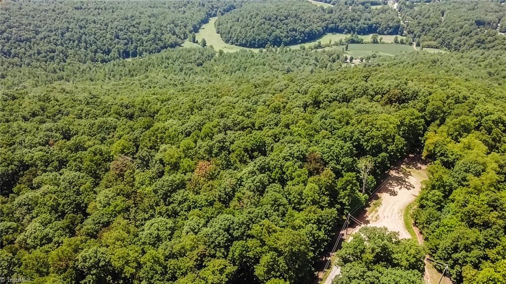 Tbd Timber Ridge Road Property Photo 21