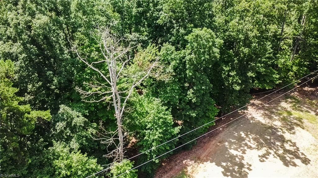 Tbd Timber Ridge Road Property Photo 23