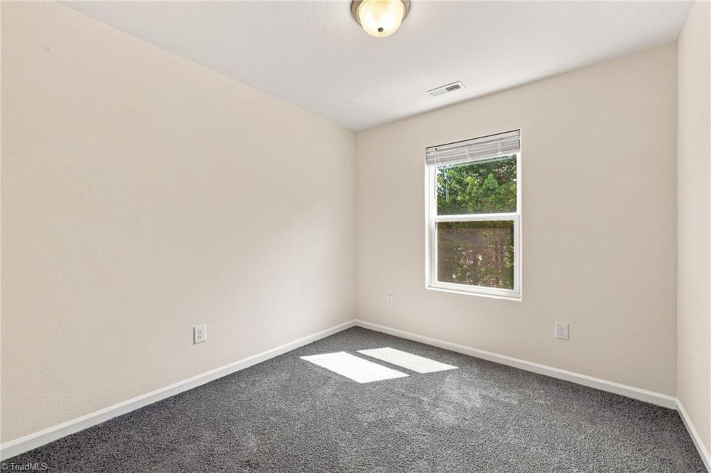 4259 Piedmont Farms Way Property Photo 27