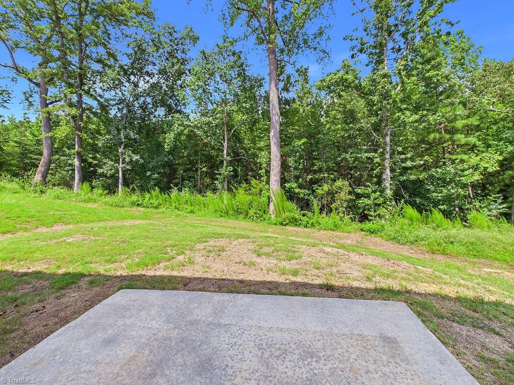 1547 Hamilton Hills Drive Property Photo 21