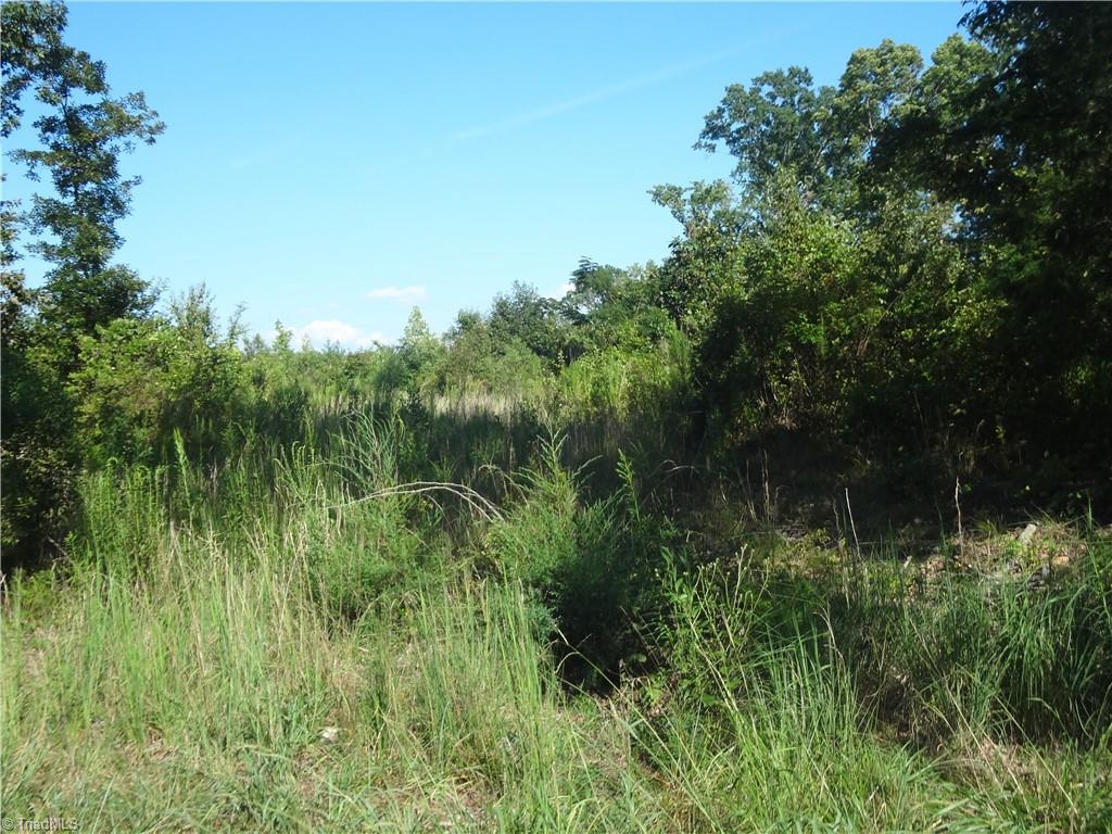 0 Garner Road Property Photo 4