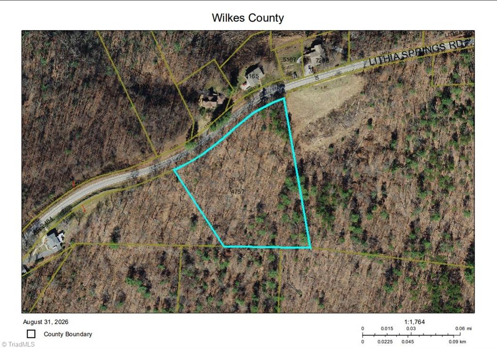 Tbd Lithia Springs Road Property Photo 1