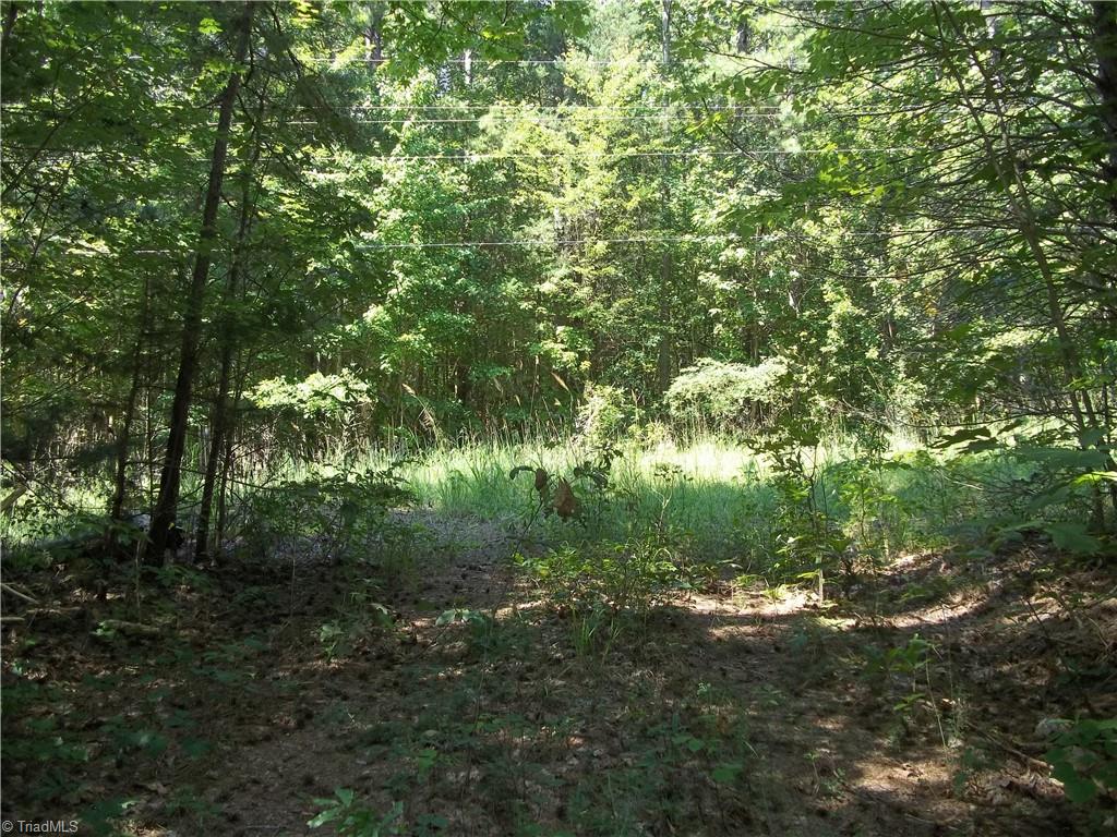 0 Clyde King Road Property Photo 4