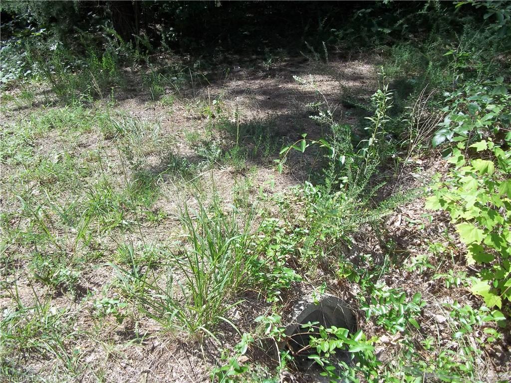 0 Clyde King Road Property Photo 5