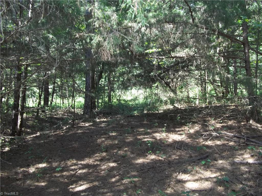 0 Clyde King Road Property Photo 7