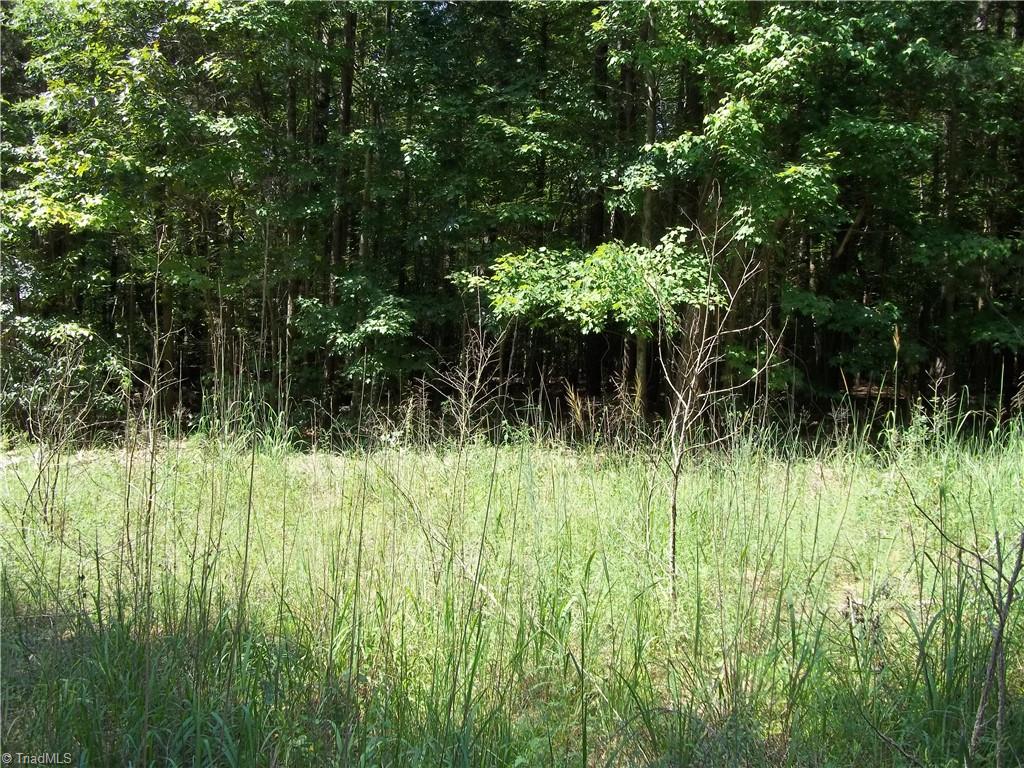 0 Clyde King Road Property Photo 10