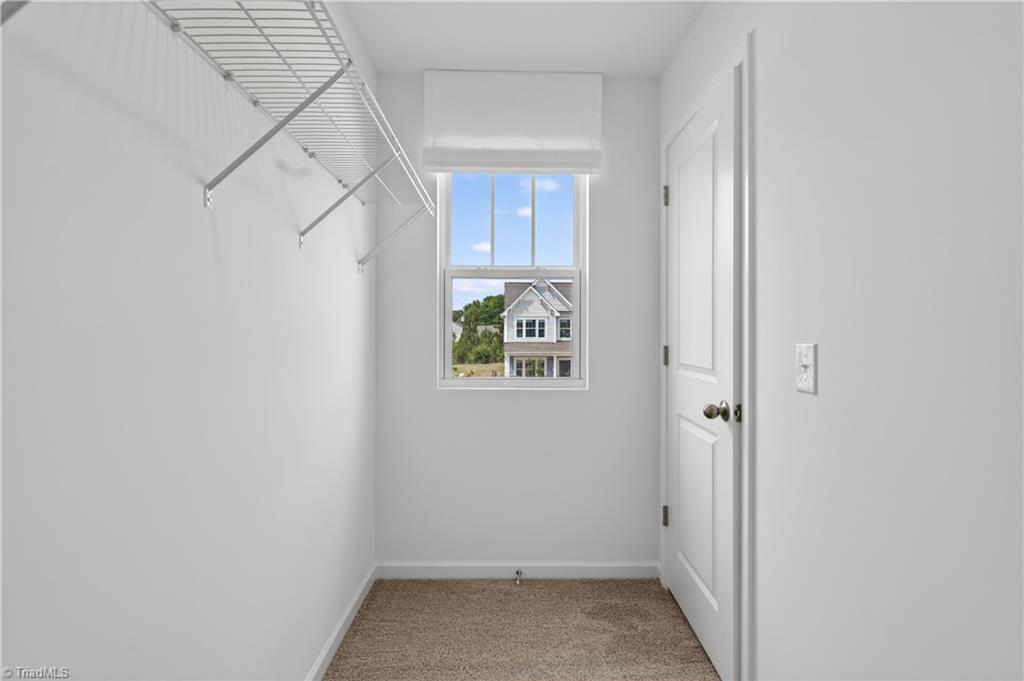 8909 Cranesbill Avenue Property Photo 10