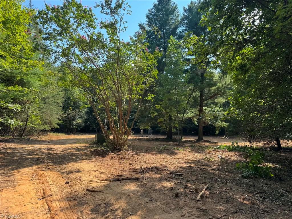 1036 Antler Run Drive Property Photo 1