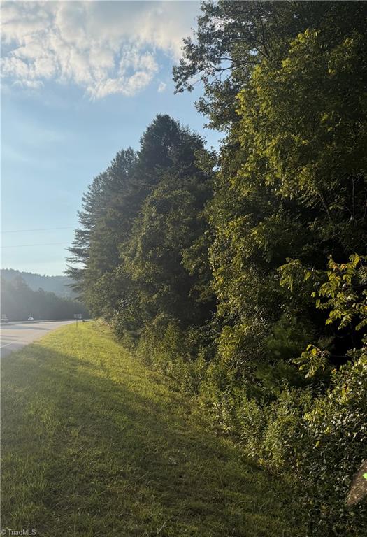 0 W Us Highway 421 Property Photo 4