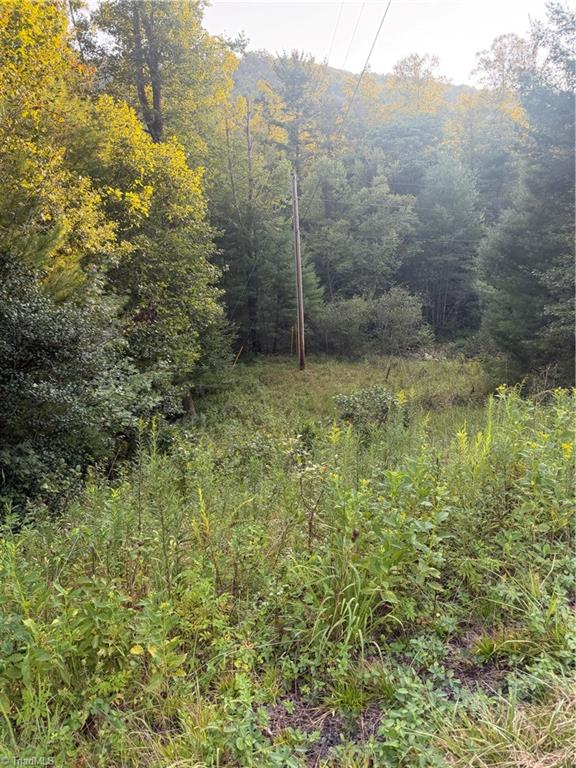 0 W Us Highway 421 Property Photo 5
