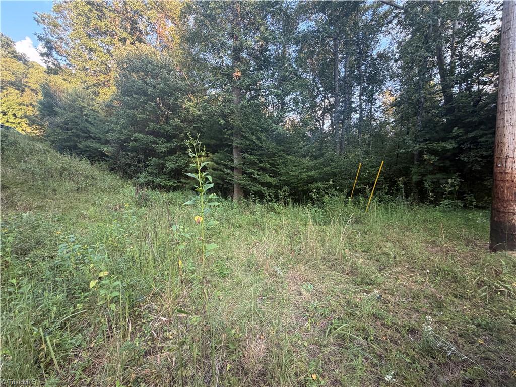 0 W Us Highway 421 Property Photo 6