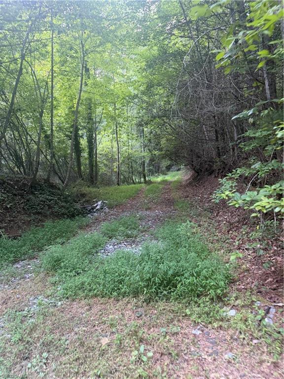 0 W Us Highway 421 Property Photo 11