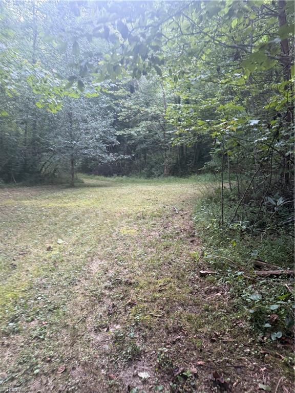 0 W Us Highway 421 Property Photo 12