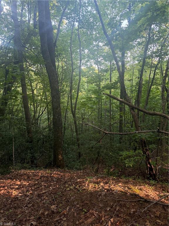 0 W Us Highway 421 Property Photo 14