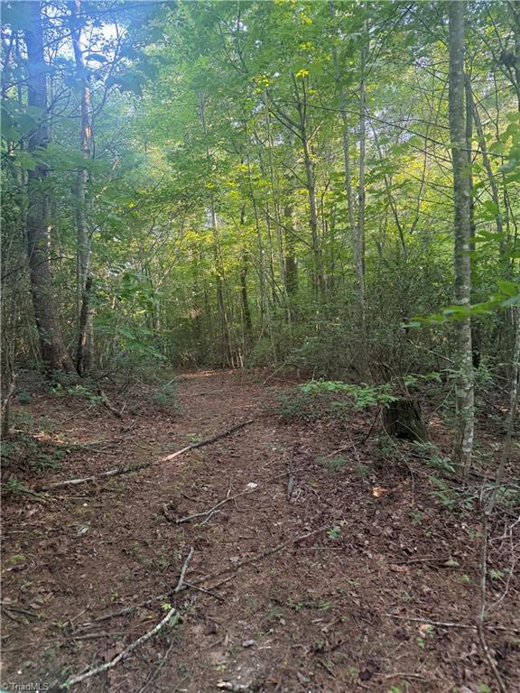 0 W Us Highway 421 Property Photo 15