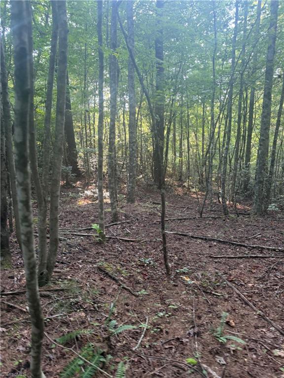 0 W Us Highway 421 Property Photo 16