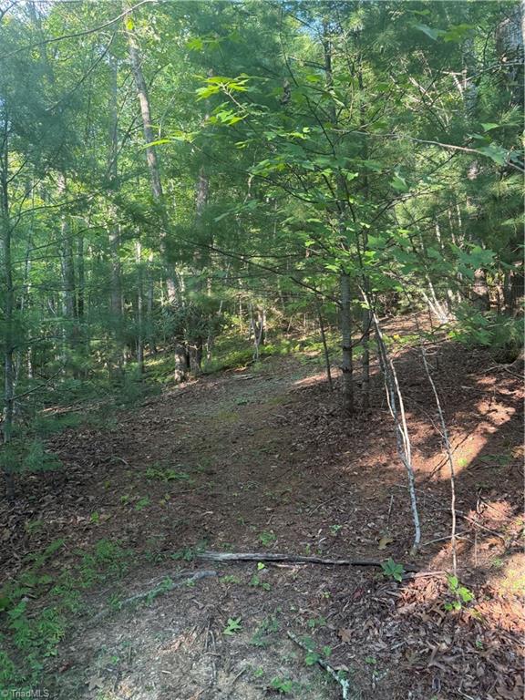 0 W Us Highway 421 Property Photo 17