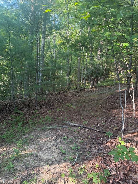 0 W Us Highway 421 Property Photo 19