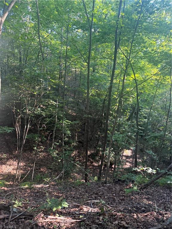 0 W Us Highway 421 Property Photo 20