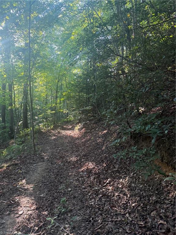 0 W Us Highway 421 Property Photo 21
