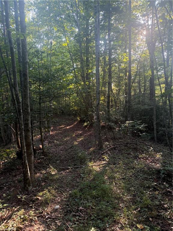 0 W Us Highway 421 Property Photo 22