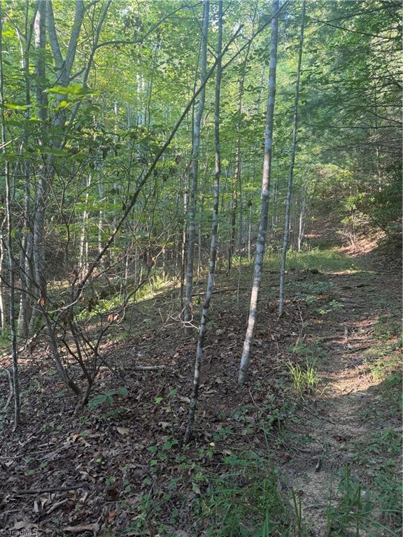 0 W Us Highway 421 Property Photo 23