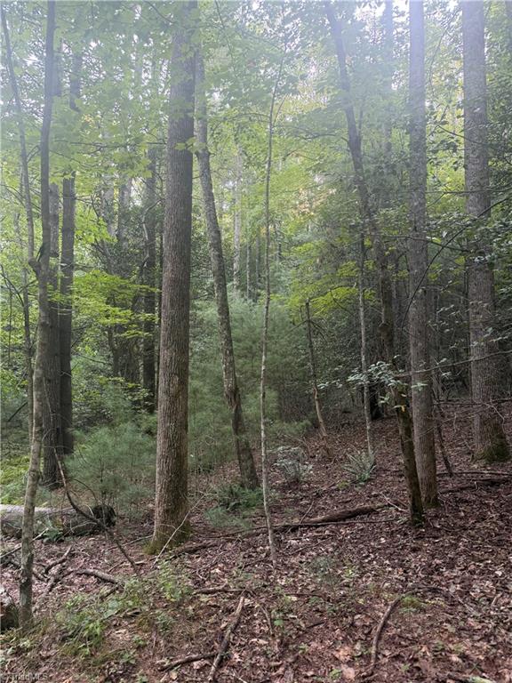 0 W Us Highway 421 Property Photo 24