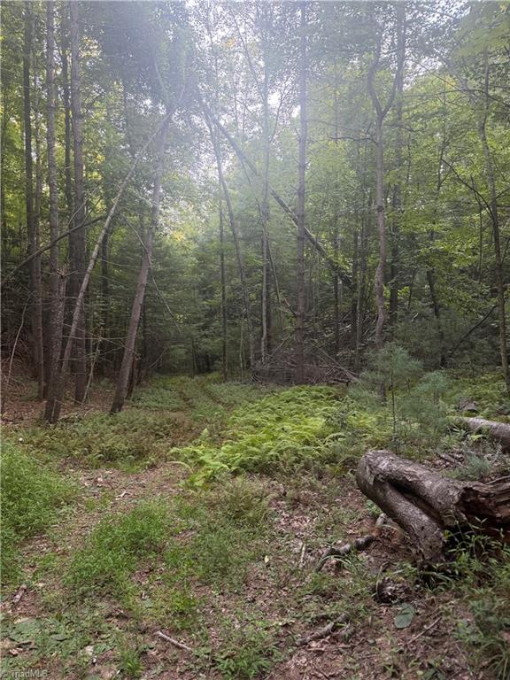 0 W Us Highway 421 Property Photo 25