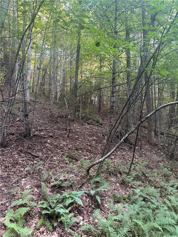 0 W Us Highway 421 Property Photo 26