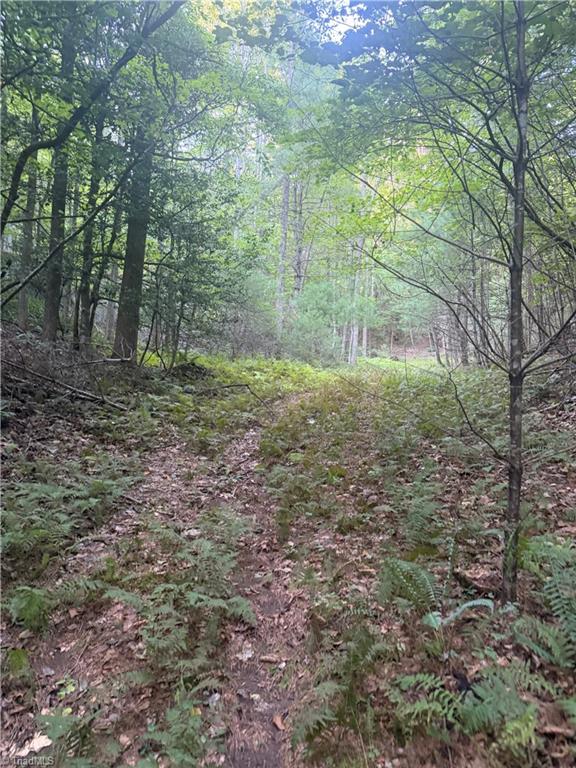 0 W Us Highway 421 Property Photo 28