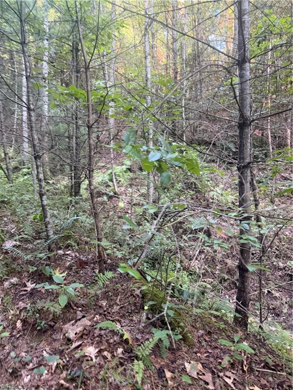0 W Us Highway 421 Property Photo 29