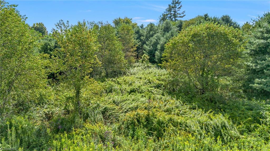 Lot 69 Green Meadows Drive Property Photo 1