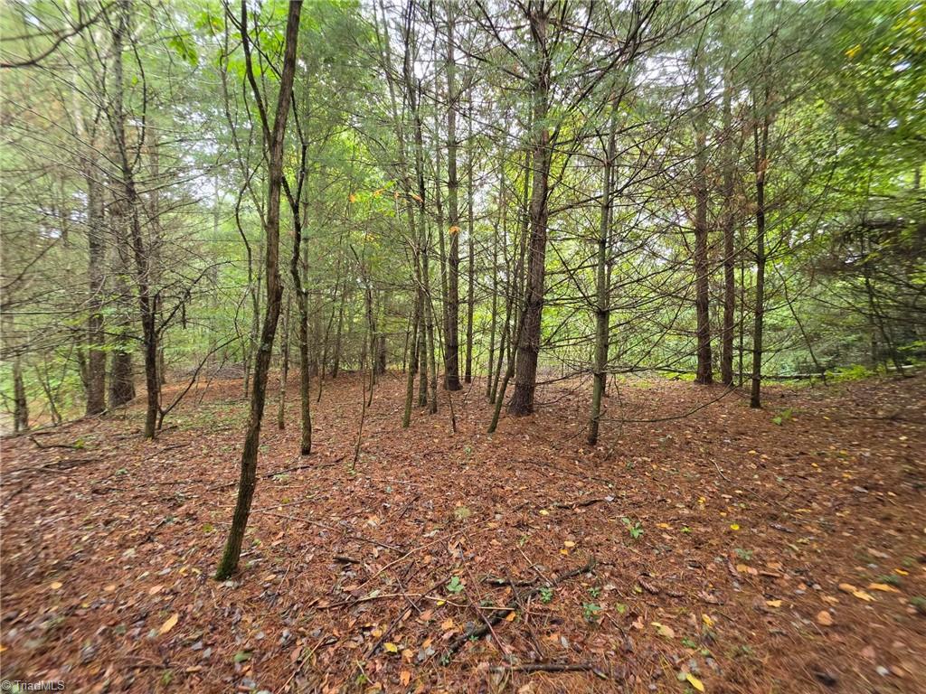 Lot 78 Green Meadows Drive Property Photo 1
