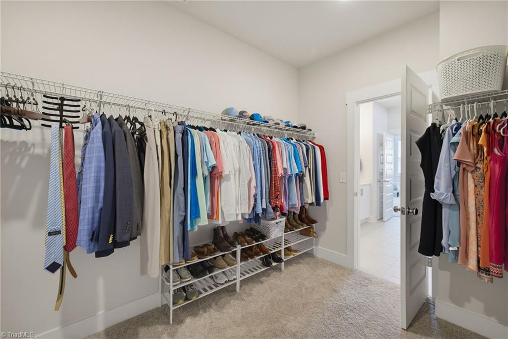 7789 Chadding Drive Property Photo 20