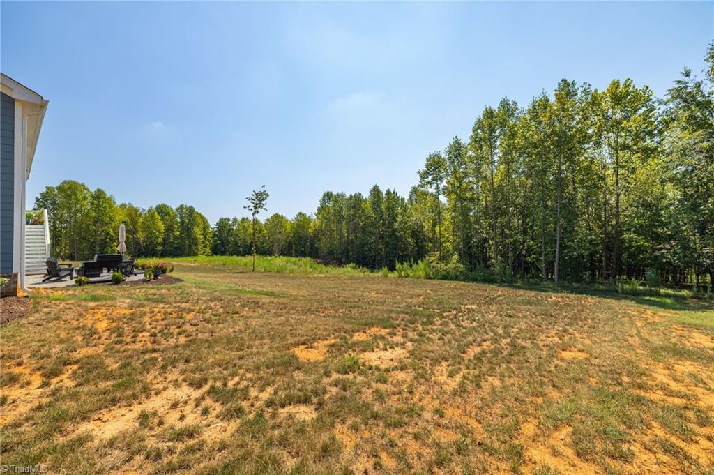 7789 Chadding Drive Property Photo 35