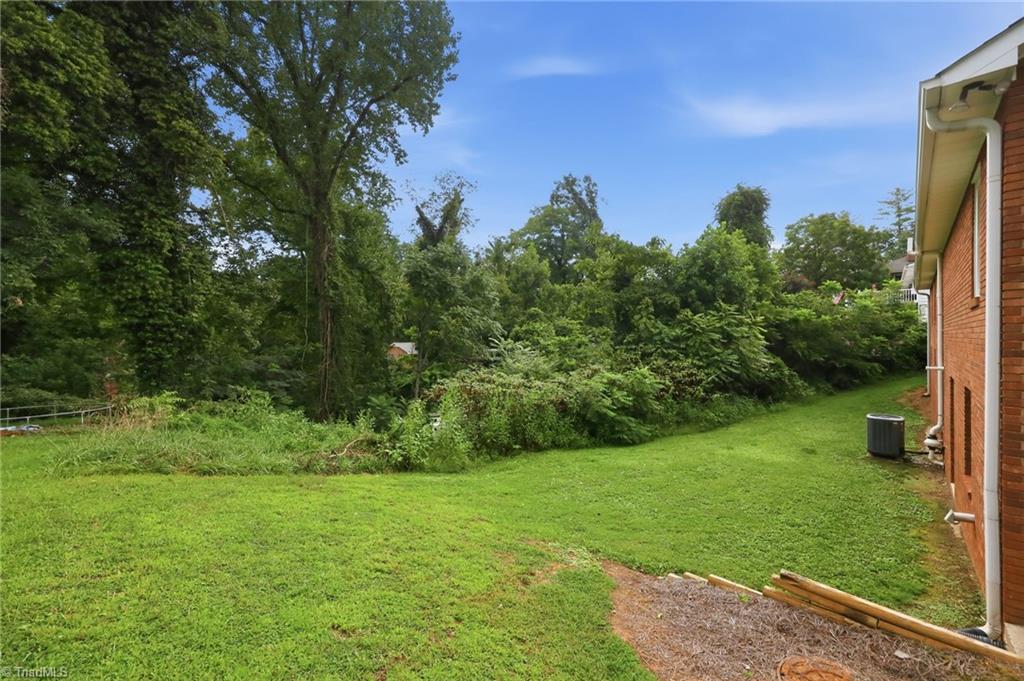 317 Hillcrest Drive Property Photo 48