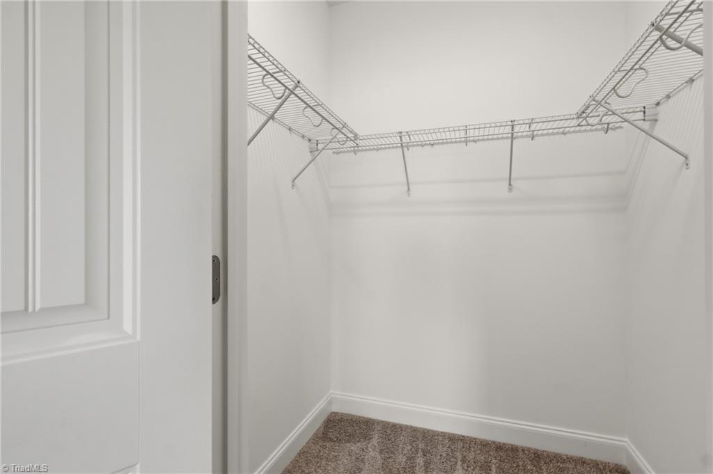 3770 Echo Forest Trail Property Photo 22