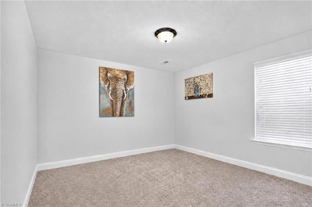 4013 Brayden Drive Property Photo 39