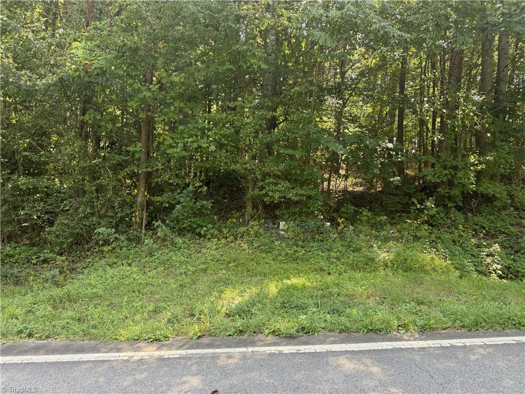 0000 Cook Florist Road Property Photo 1