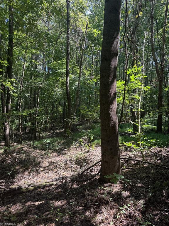 0000 Cook Florist Road Property Photo 5