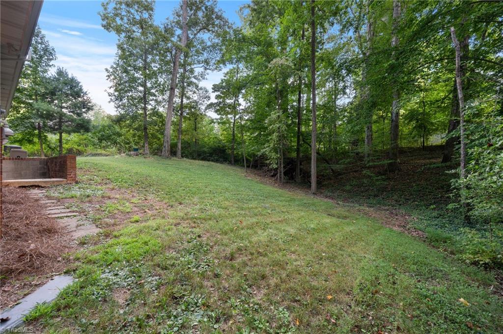 207 Leland Drive Property Photo 30