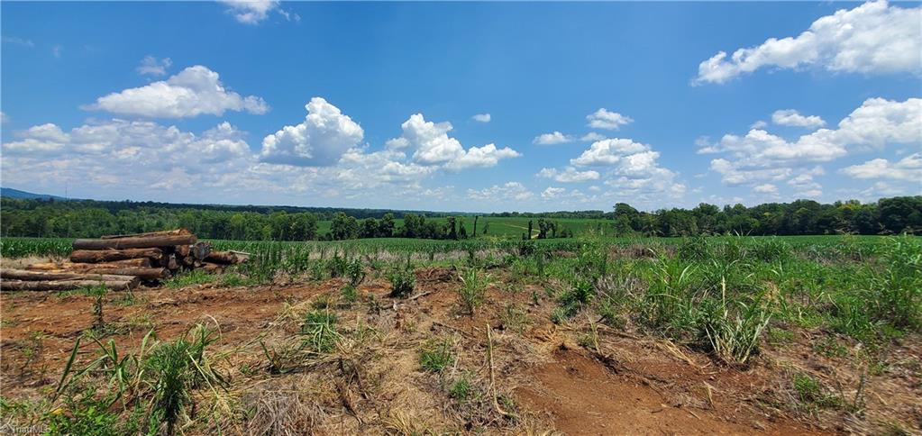 3641 Us Highway 21 Property Photo 1