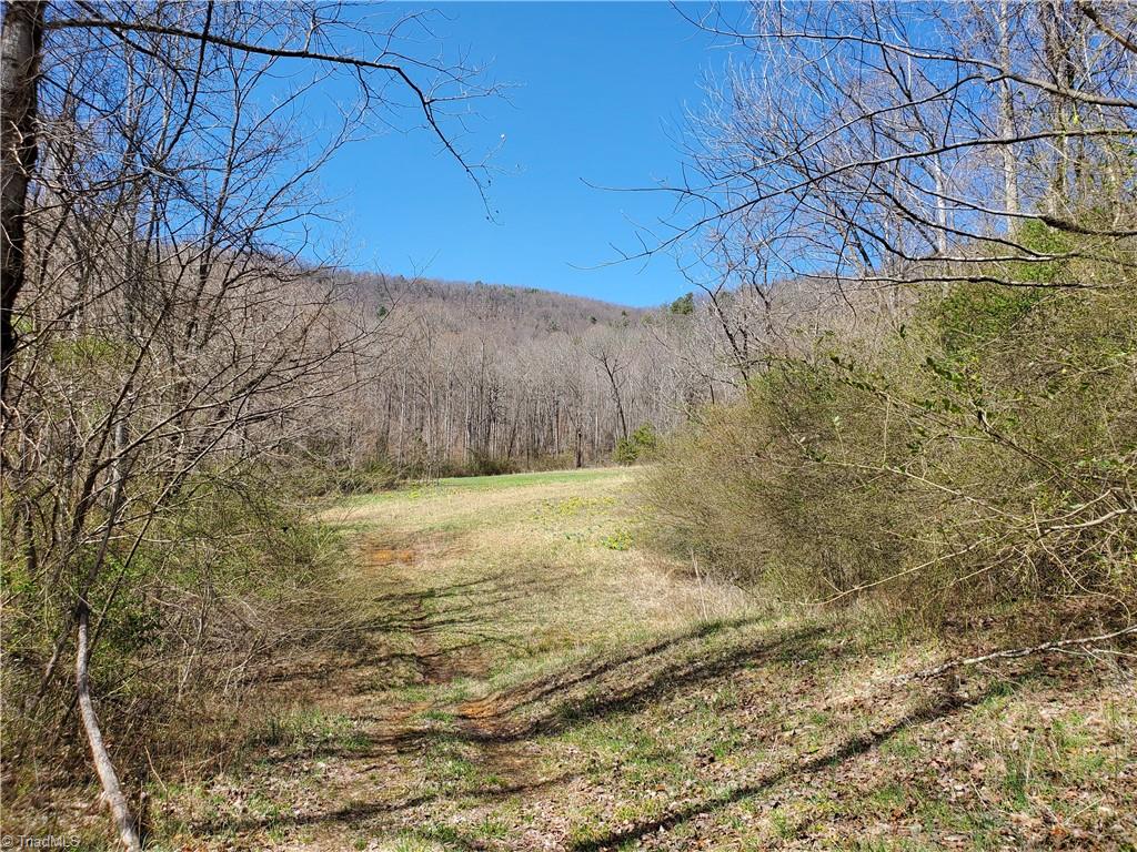 8057 Nc Highway 16 Property Photo 1