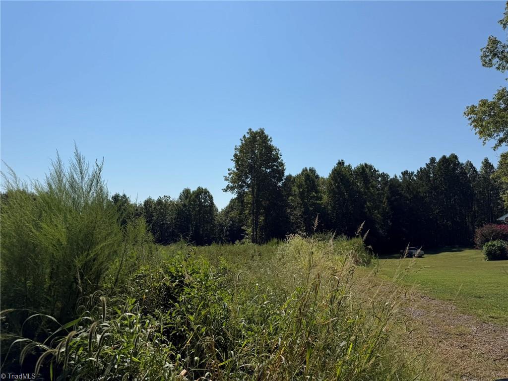 Tbd Elkin Wildlife Road Property Photo 7