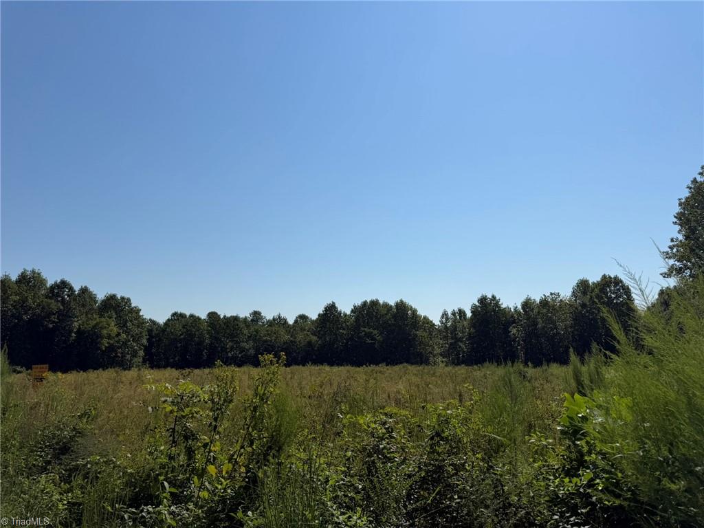 Tbd Elkin Wildlife Road Property Photo 9
