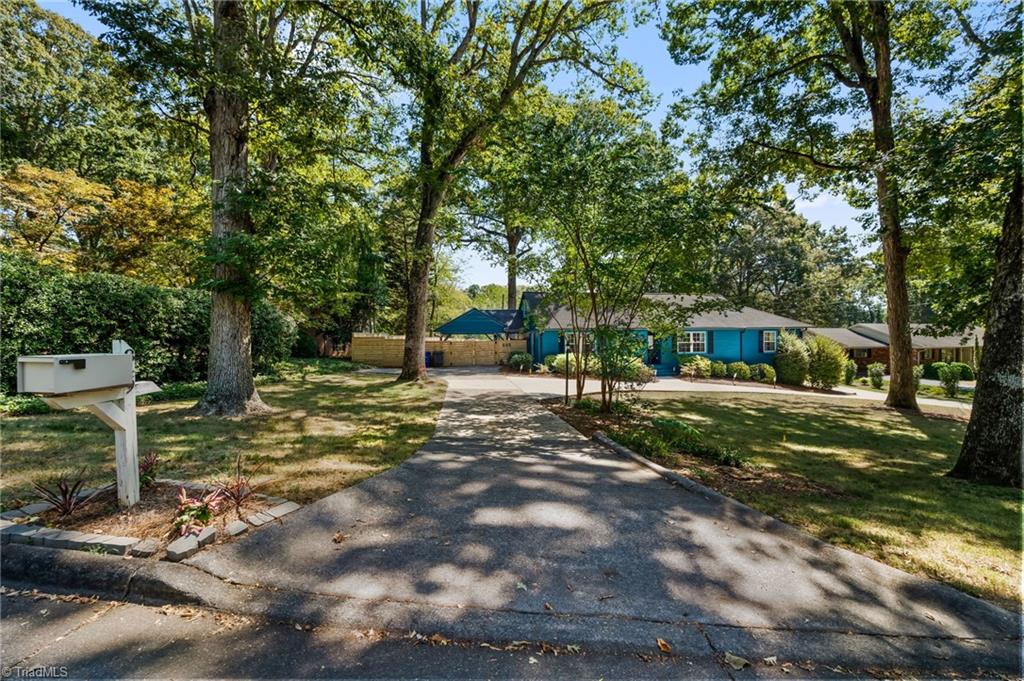 849 Chester Road Property Photo 5