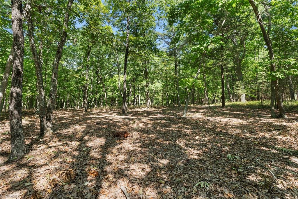 686 Palisade Trail Property Photo 3