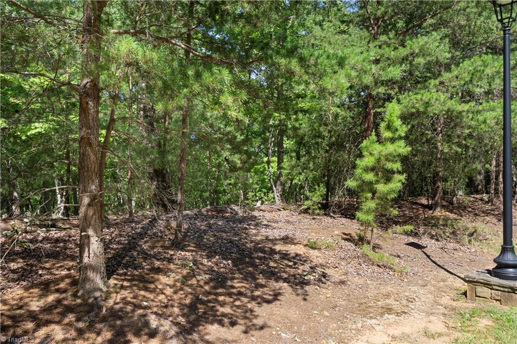 686 Palisade Trail Property Photo 4